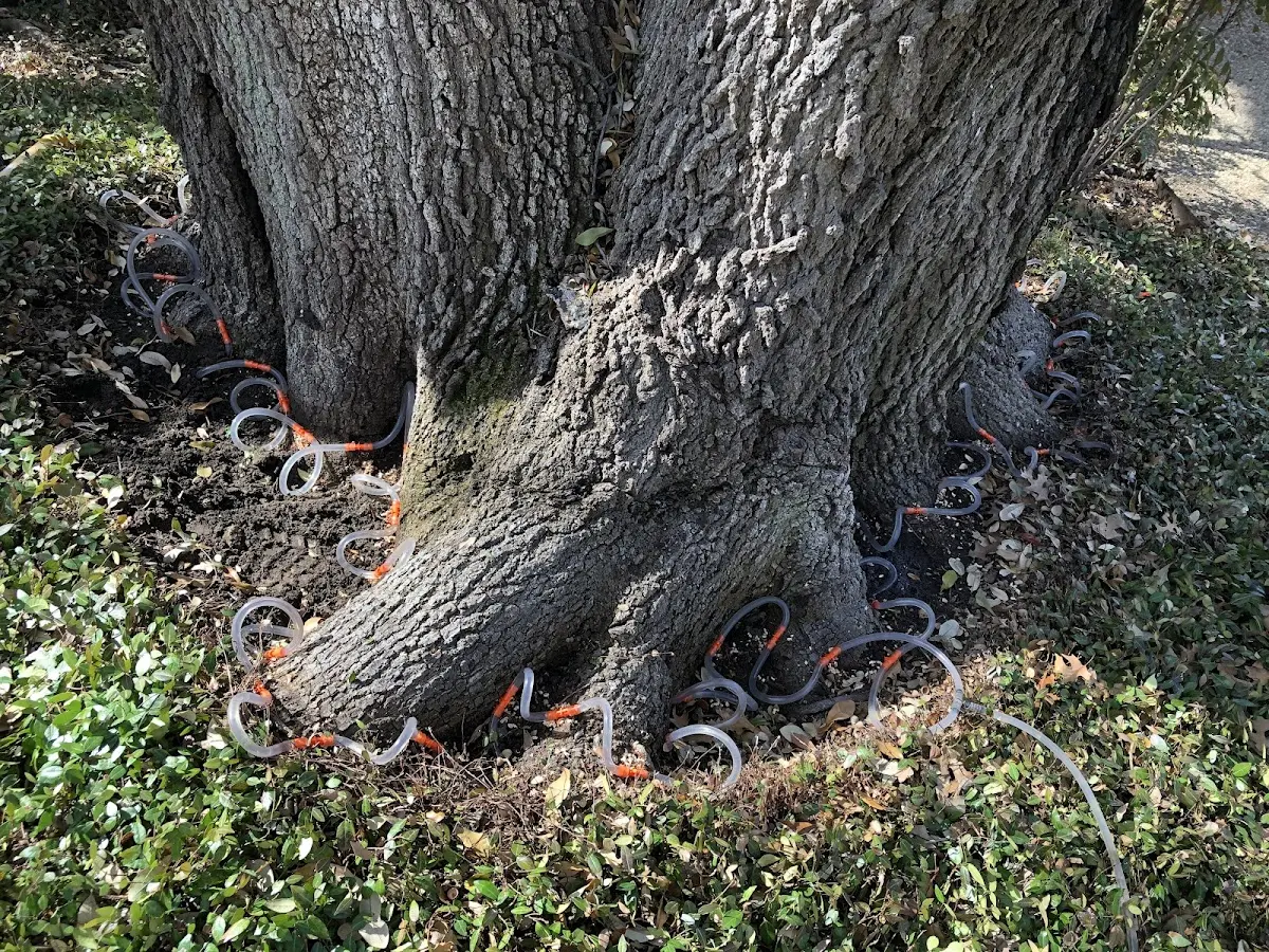Detailed Shrub and Hedge Trimming job site in Altus